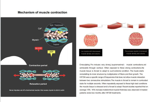 SlimPulse Muscle Sculptor for Muscle Toning | LateurGo