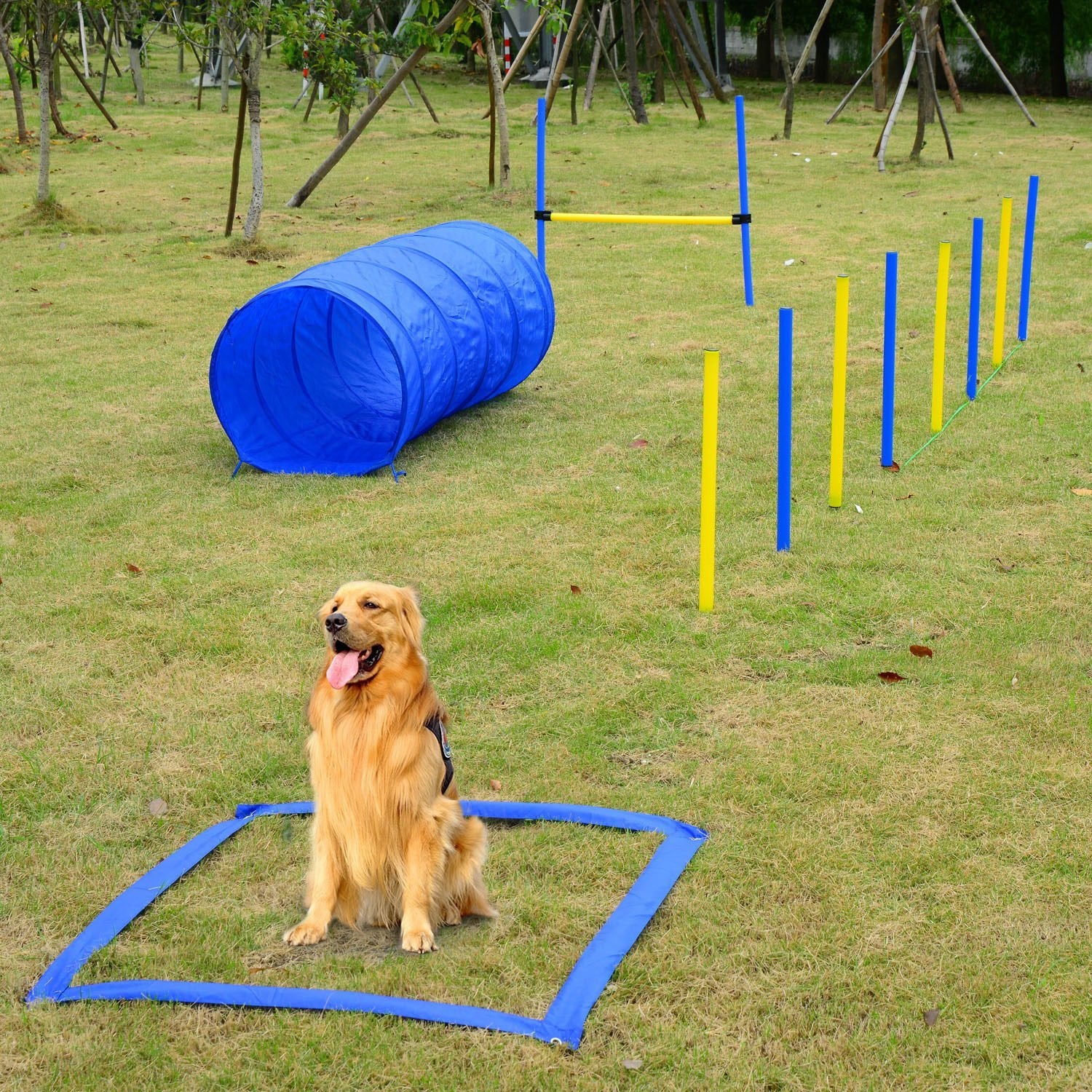 LateurGo PawHut Dog Agility Starter Kit - Pet Outdoor Exercise Training Set