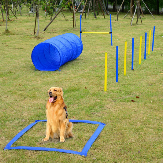 LateurGo PawHut Dog Agility Starter Kit - Pet Outdoor Exercise Training Set