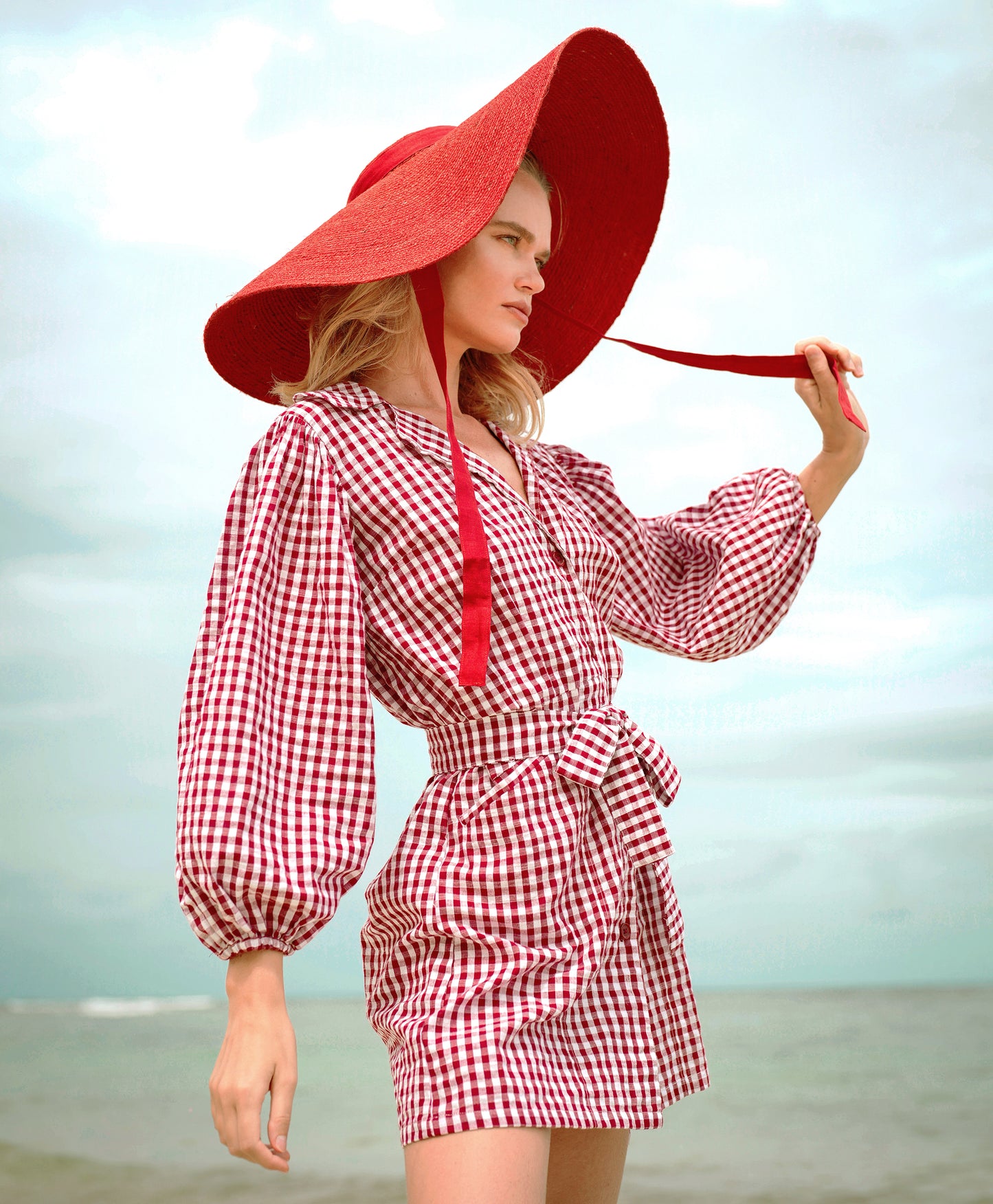 EGHAN Fashionable Mini Dress in Gingham Red 