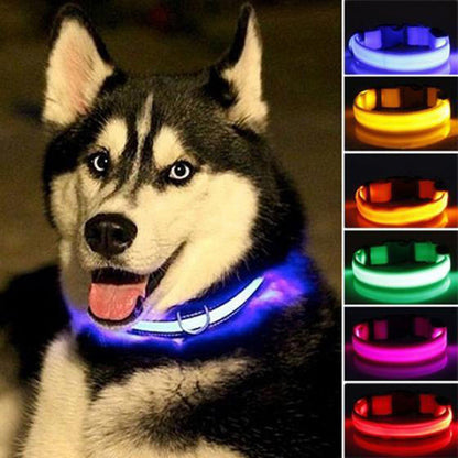 2 PCS Set Nylon LED Dog Collar for Night Visibility by LateurGo 