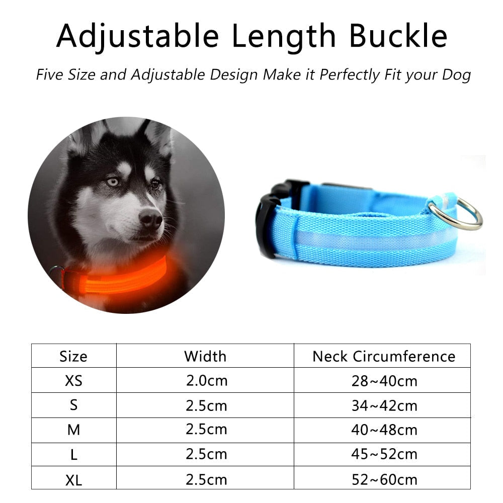 2 PCS Set Nylon LED Dog Collar for Night Visibility by LateurGo 