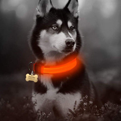 2 PCS Set Nylon LED Dog Collar for Night Visibility by LateurGo 