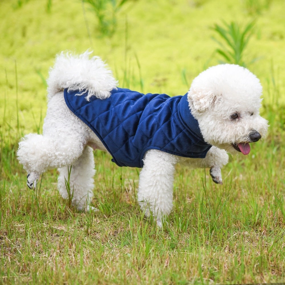 LateurGo Dogs Winter Warm Vest